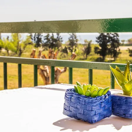 Apartment Mit Korallenblick In Chianchitta Pallio Giardini Naxos